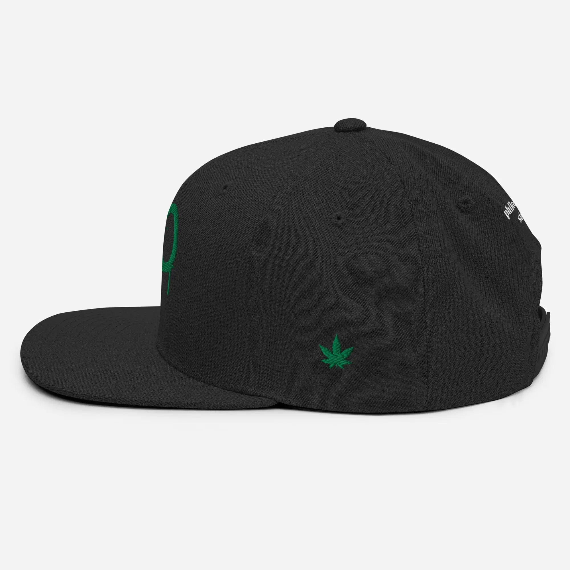 Philosopher Stoner 420 snapback GRN hat