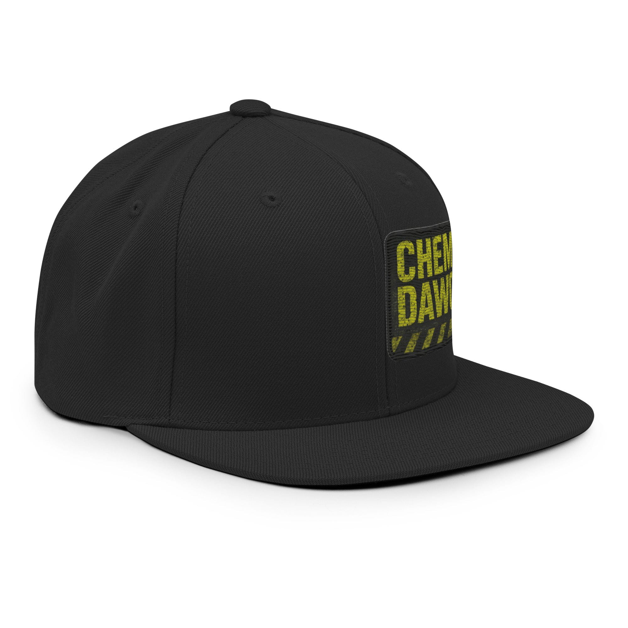 Philosopher Stoner Chem Dawg  Snapback Hat