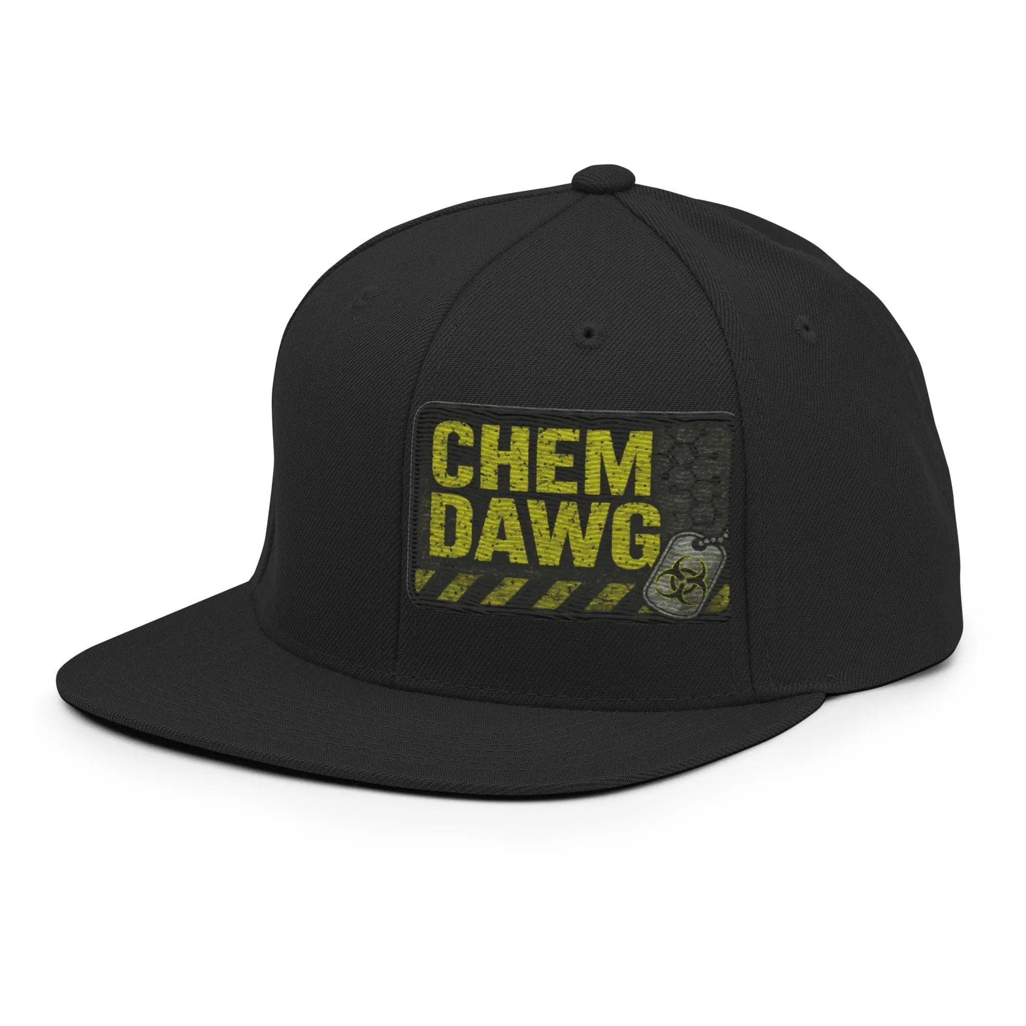 Philosopher Stoner Chem Dawg  Snapback Hat