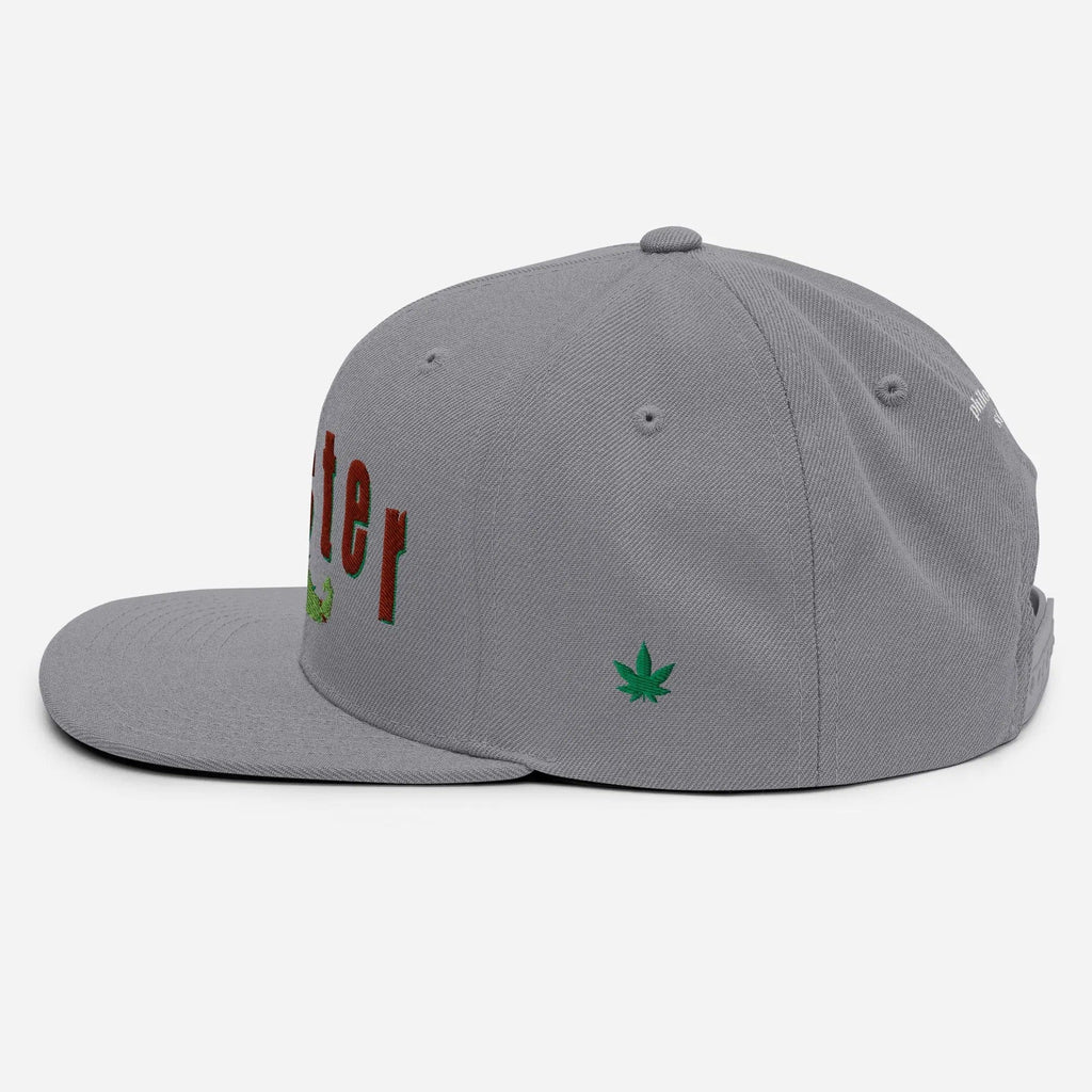 Philosopher Stoner DANKSTER Snapback Hat