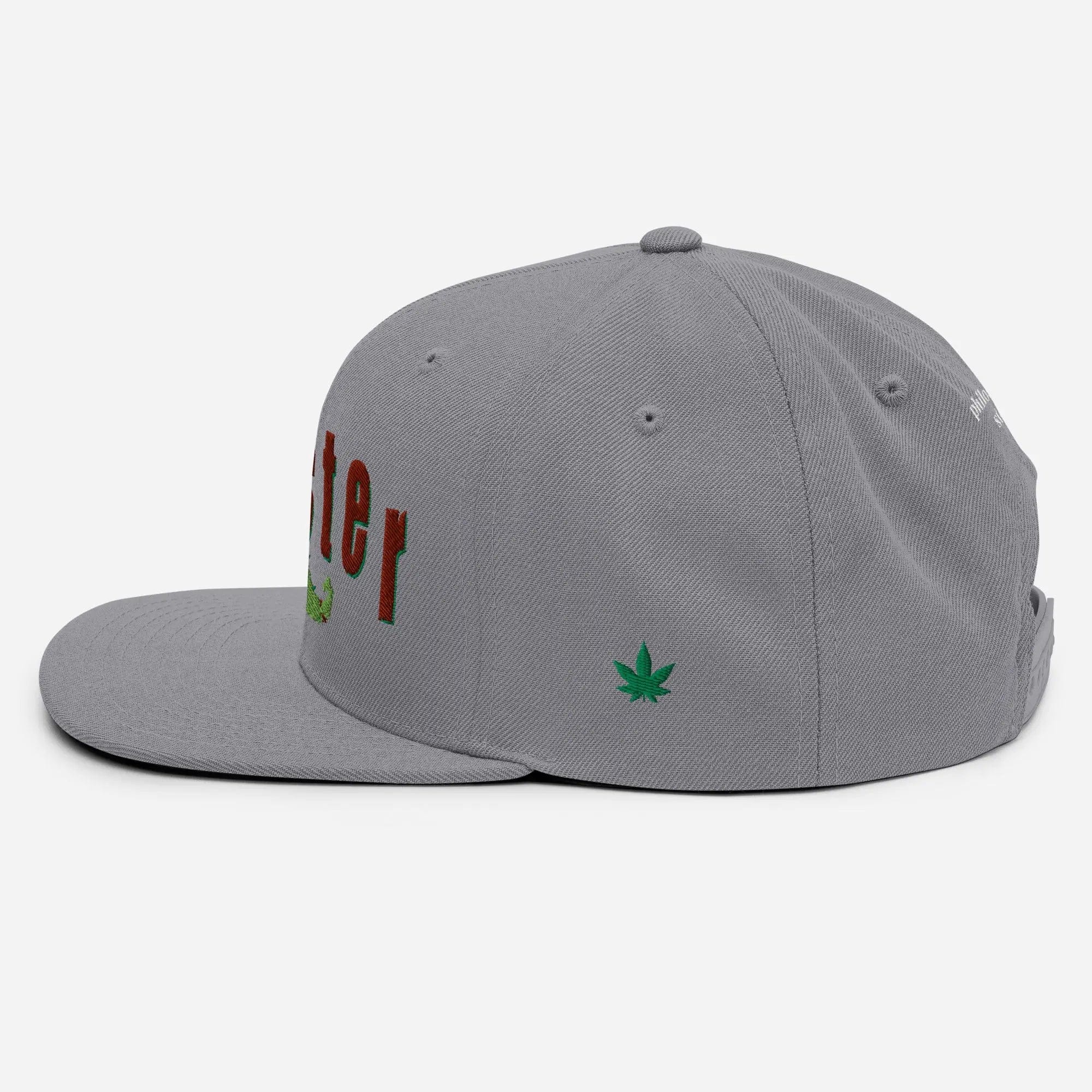 Philosopher Stoner DANKSTER Snapback Hat