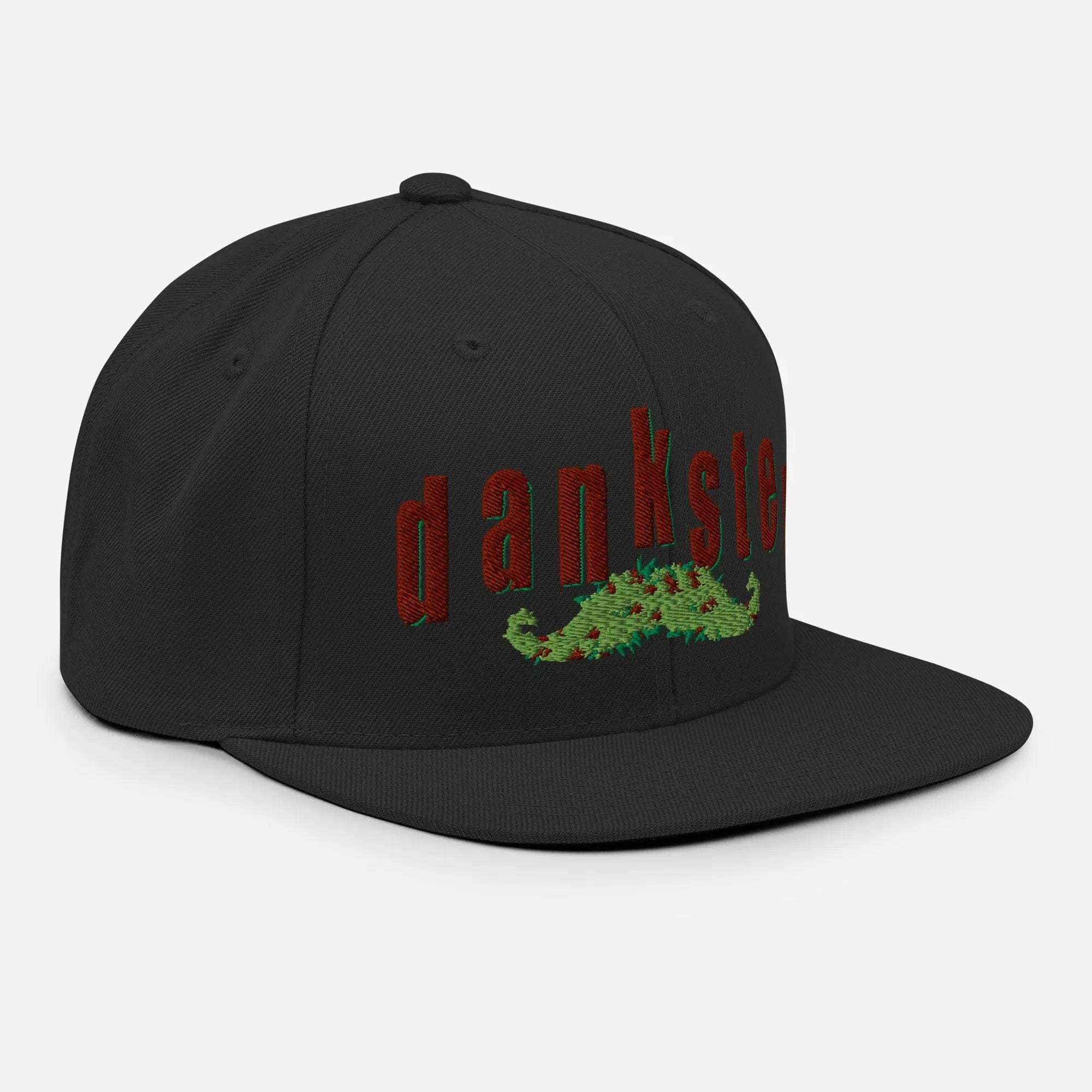 Philosopher Stoner DANKSTER Snapback Hat