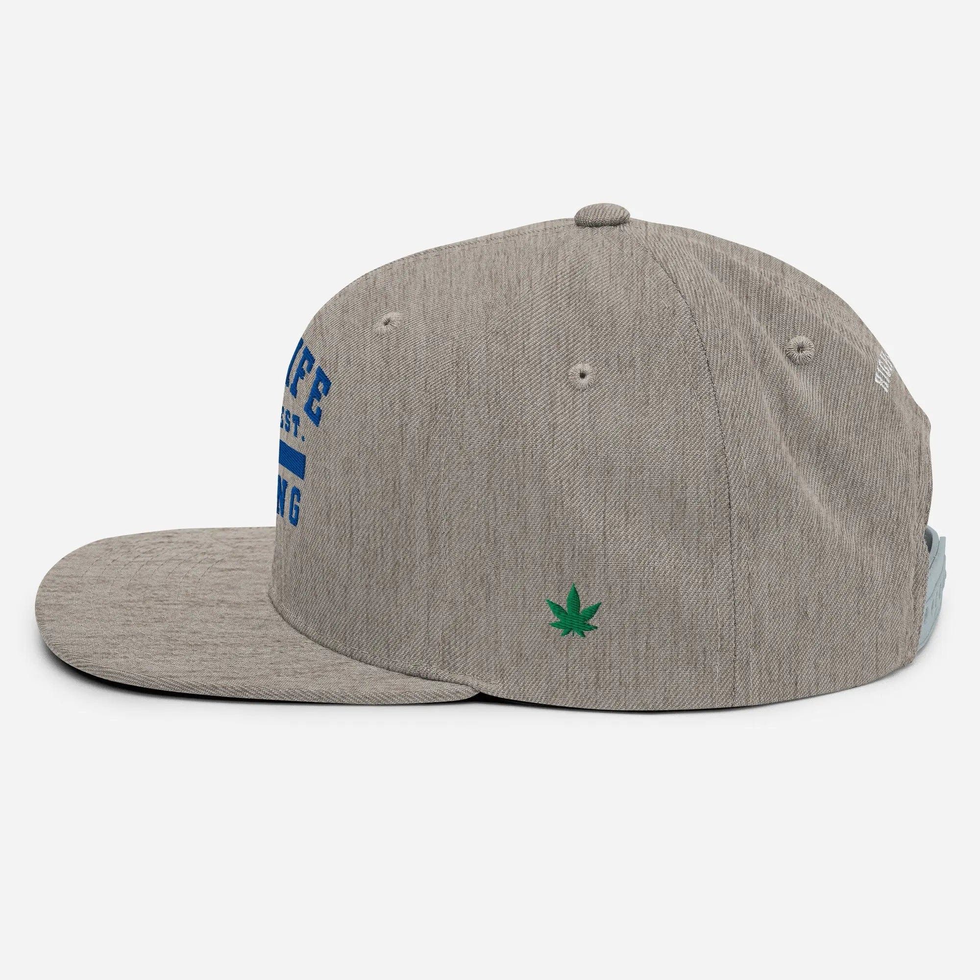 Philosopher Stoner HIGH LIFE Snapback GRY/SLV Hat