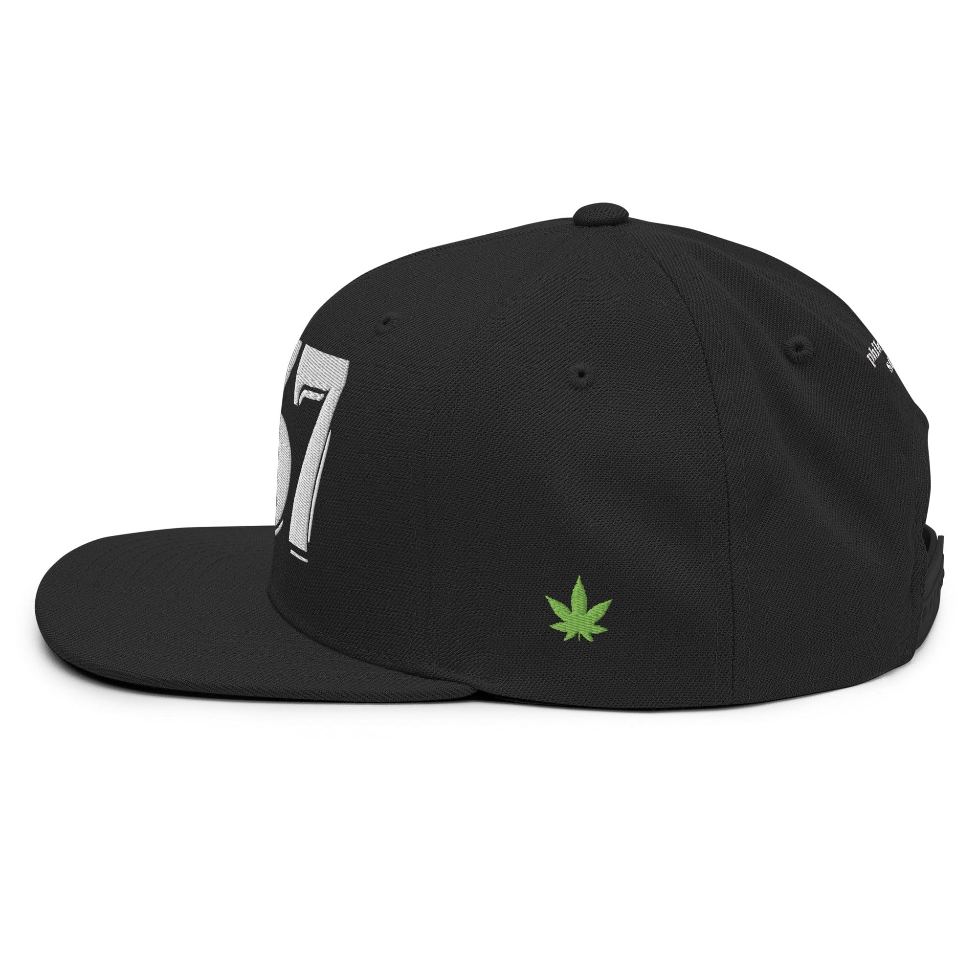 Philosopher Stoner The 1937 Stamp Act Snapback Hat